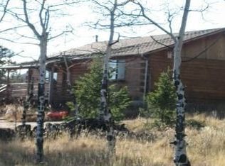 13259 Mohawk St, Pine, CO 80470