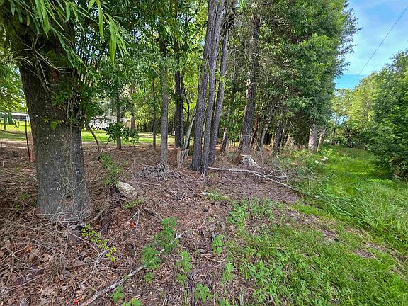 2nd image of 100 County Road 853