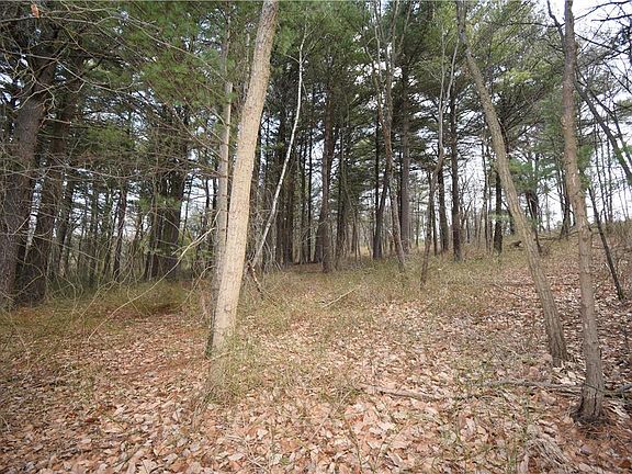 4th image of Wintergreen Road Lower Towamensing Tp