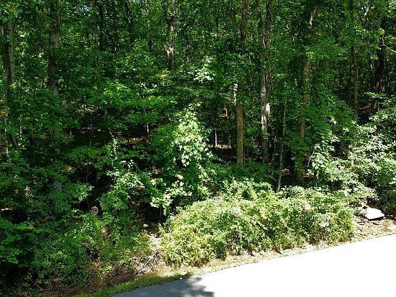 3rd image of 159 Sugarbush Cir #351