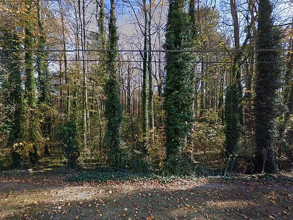 2nd image of 2640 Greenvalley Ct