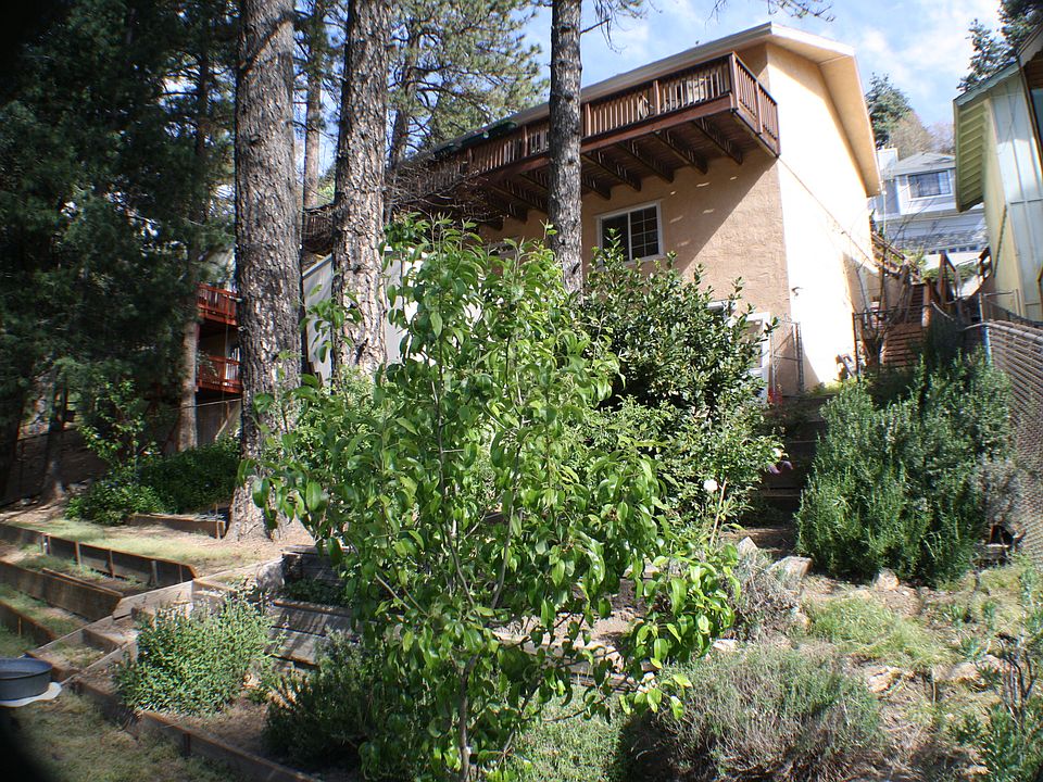 From back yard