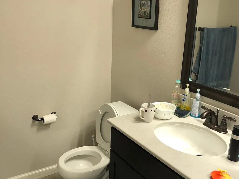 1283 Milkweed St — Photo 3