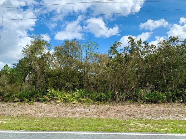 LOT 1 Royal Trails Rd Lot 1, Eustis, FL 32736
