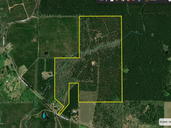 141 China Grove Rd, Ruth, MS 39662