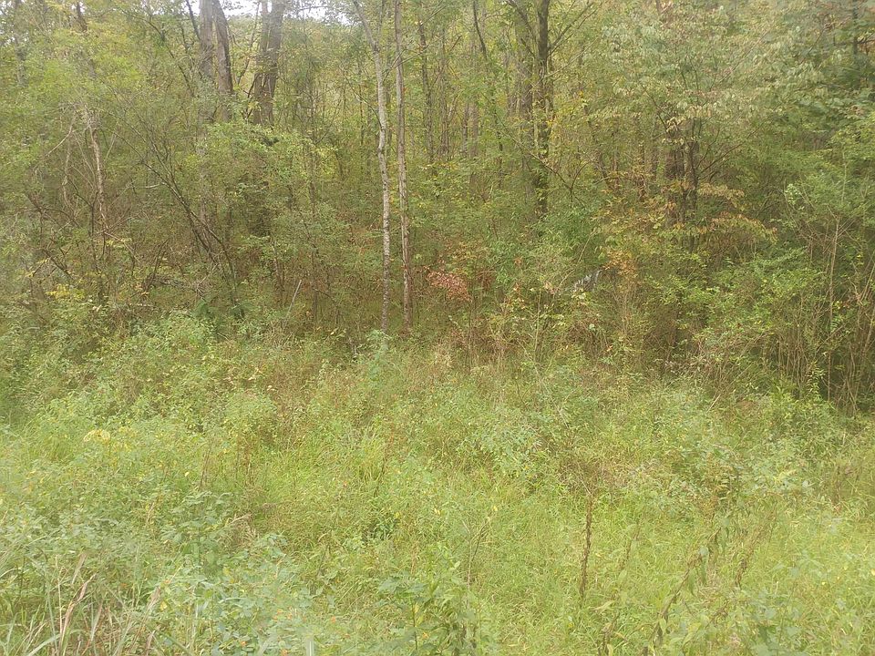 2nd image of Hen Valley Rd
