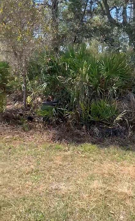 1st image of FOREST CAMPSITES LOT 8