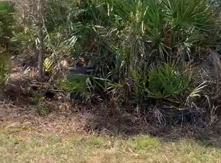 Forest Campsites LOT 8, Altoona, FL 32702