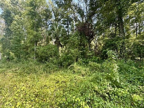 4th image of  NE 597th St