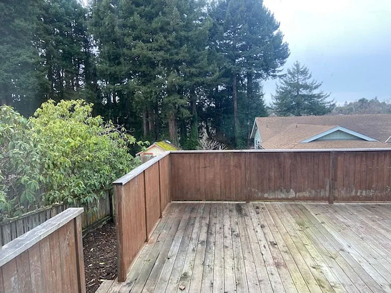 1802 McFarlan St — Photo 36
