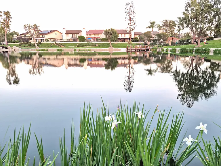 walking paths around lake and benches