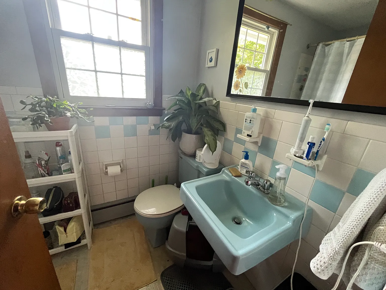 1 bed, $1,295 — Photo 4