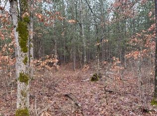 A S Usfs Rd #5196, Baldwin, MI 49304