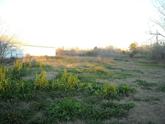 Land view