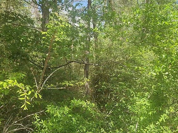 4th image of LOT 5 Tupelo Ln