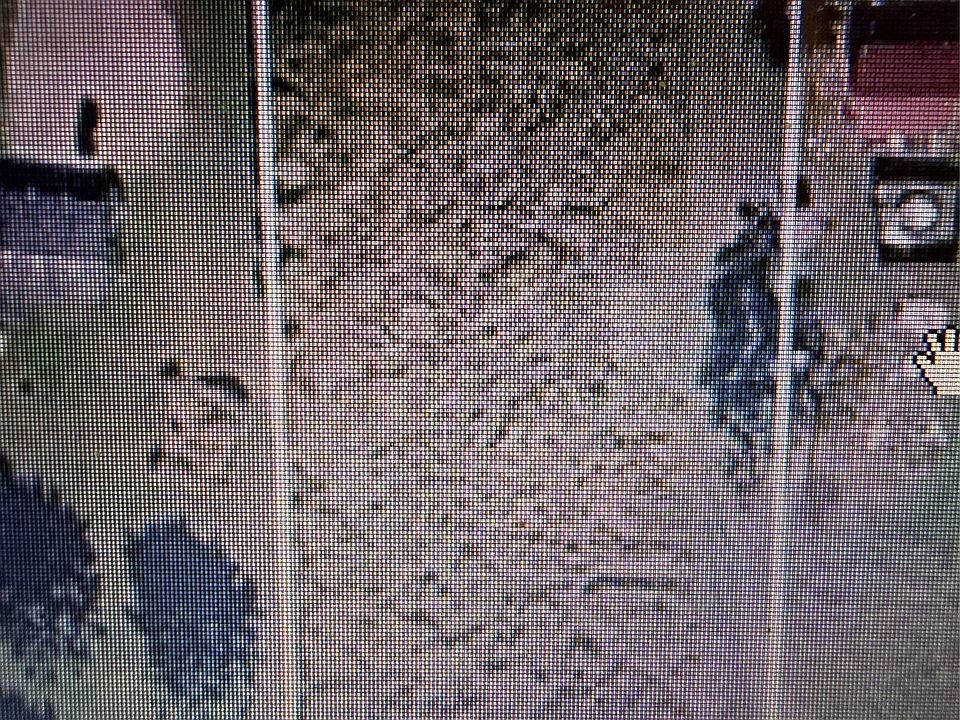 2nd image of State Highway 8 Rte