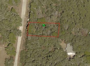 10599 S Belle Point, Homosassa, FL 34446