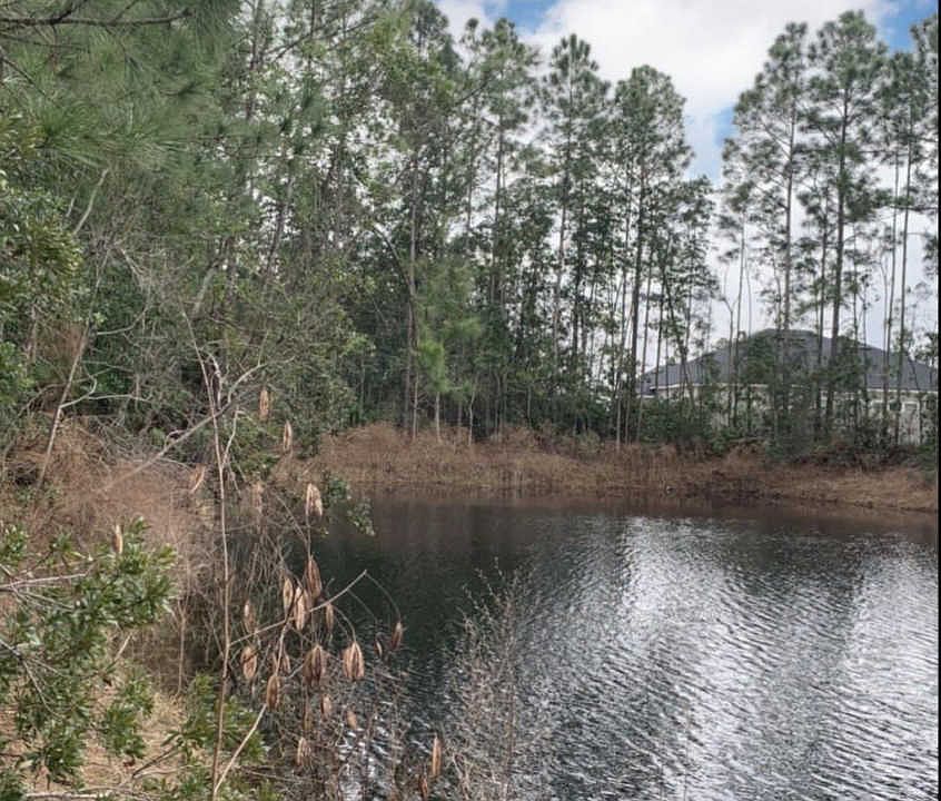 1st image of 215 N Prairie Lakes Dr