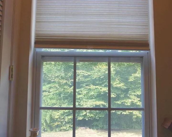 901 Pine Forest Ln — Photo 13