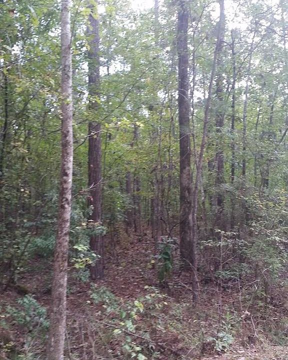2nd image of 1345 Ga Highway 315