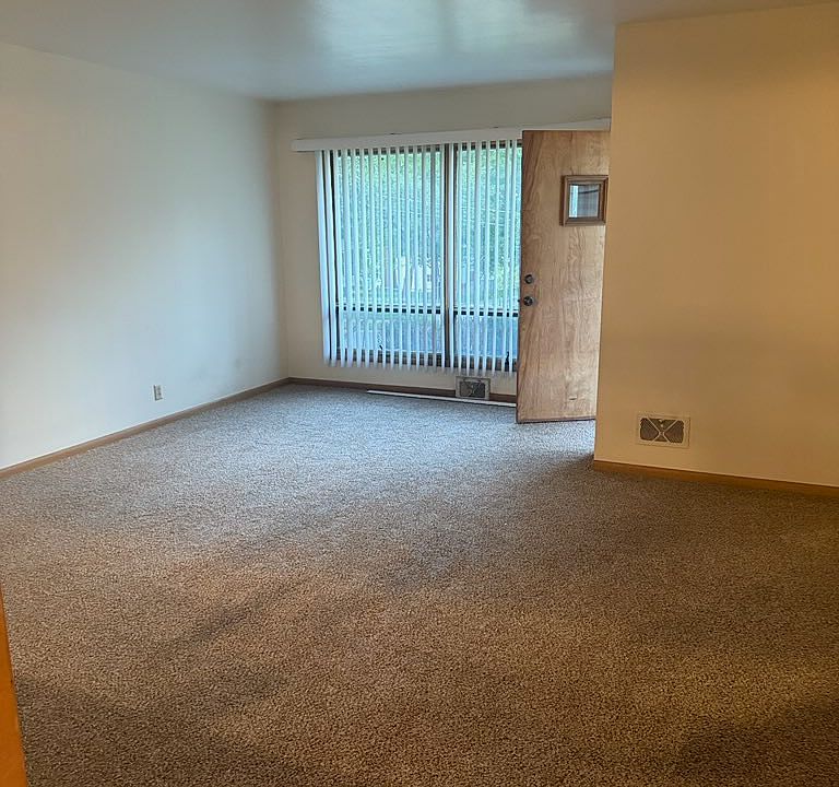 Bright light living room. New carpet