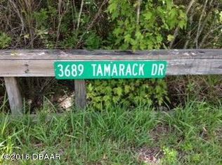 3689 Tamarack Dr, Ormond Beach, FL 32174
