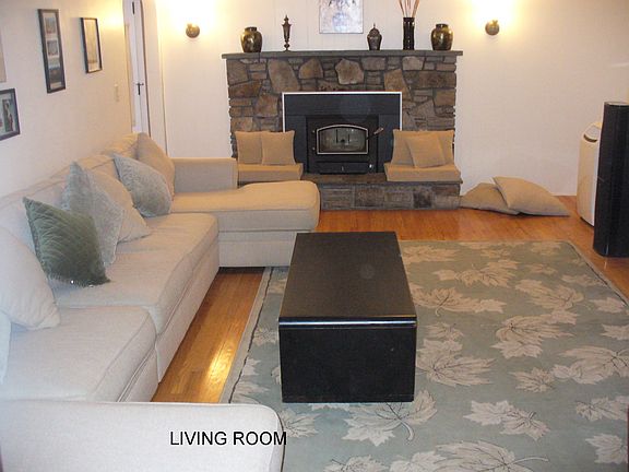 Living room fireplace