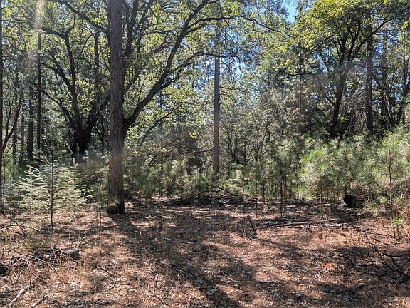 4th image of S Manzanita Hills Rd