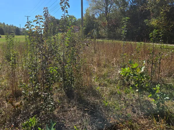 3593 Highway 390, Bluff City, TN 37618