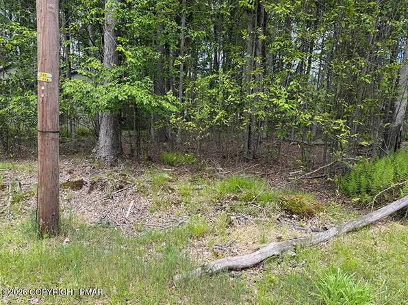 6 Winnebago Dr, Pocono Lake, PA 18347