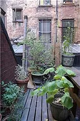 Rented by R New York