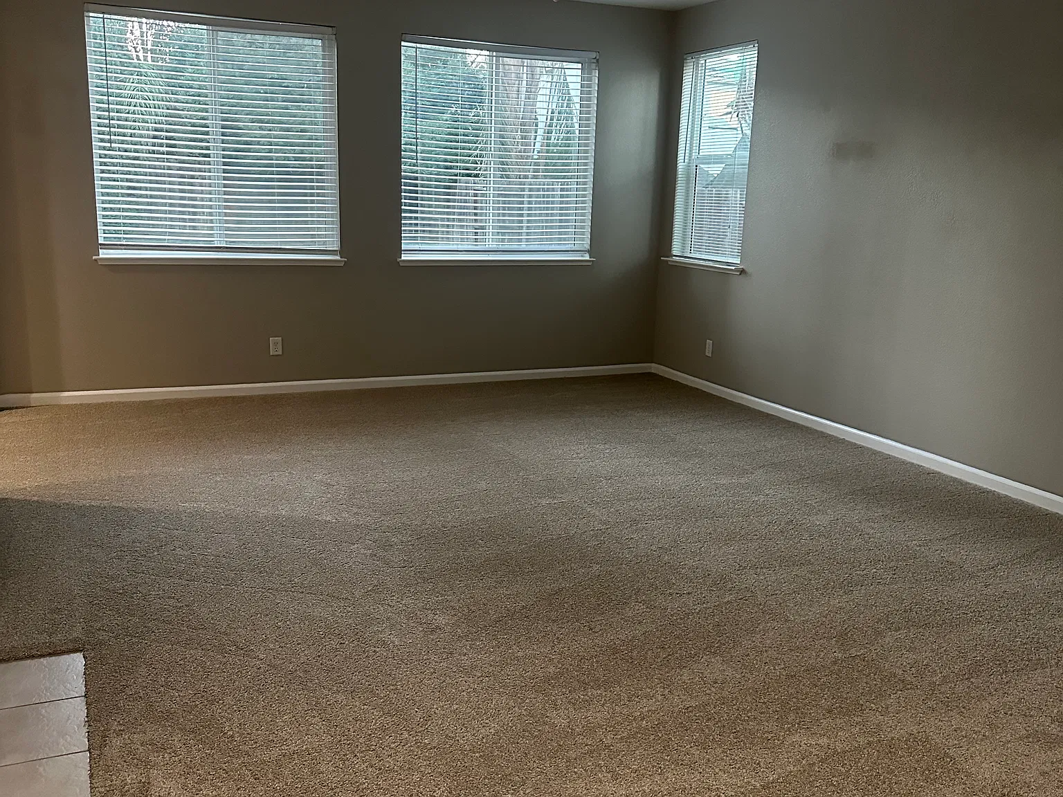 4 bed, 7841 sqft, $2,500 — Photo 4