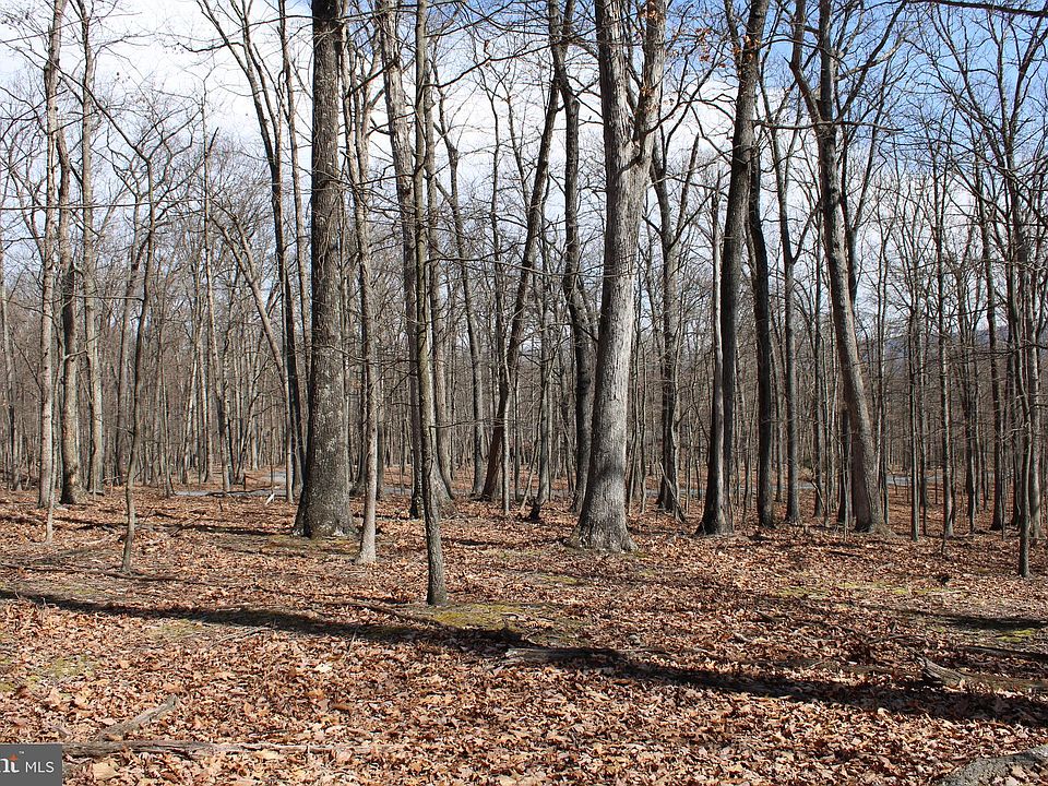 1st image of Sideling Mountain Trl