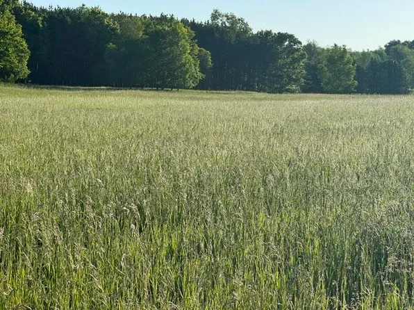 Buchanan Rd Lot A, Stanwood, MI 49346