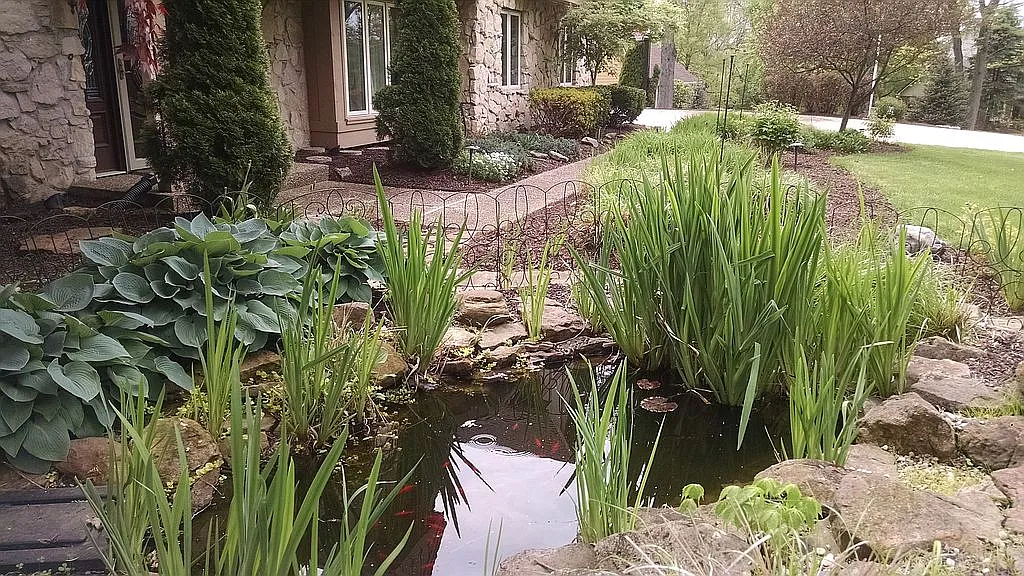 Property photo 4