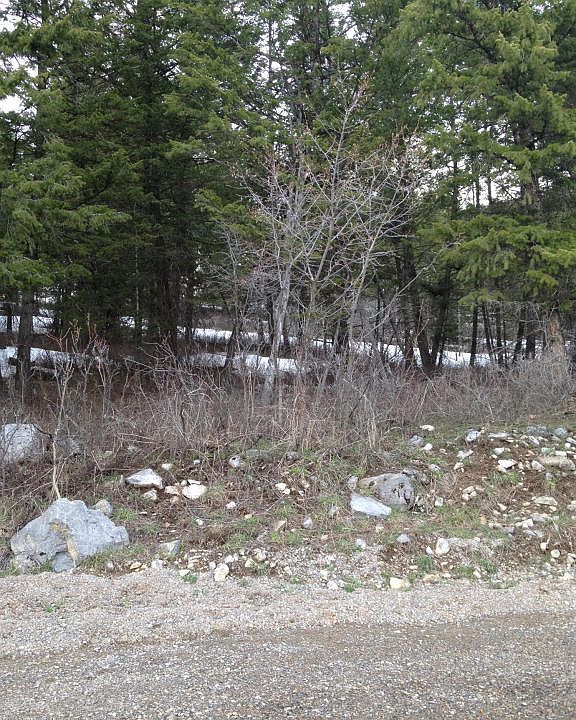 2nd image of 31 Blackwood Dr
