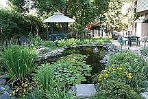 backyard view from east neighbor