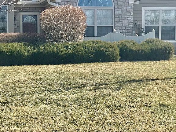 3rd image of 217 Autumn Woods Dr