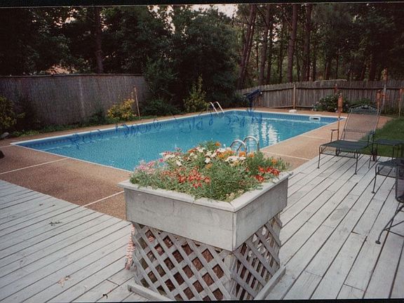  back yard