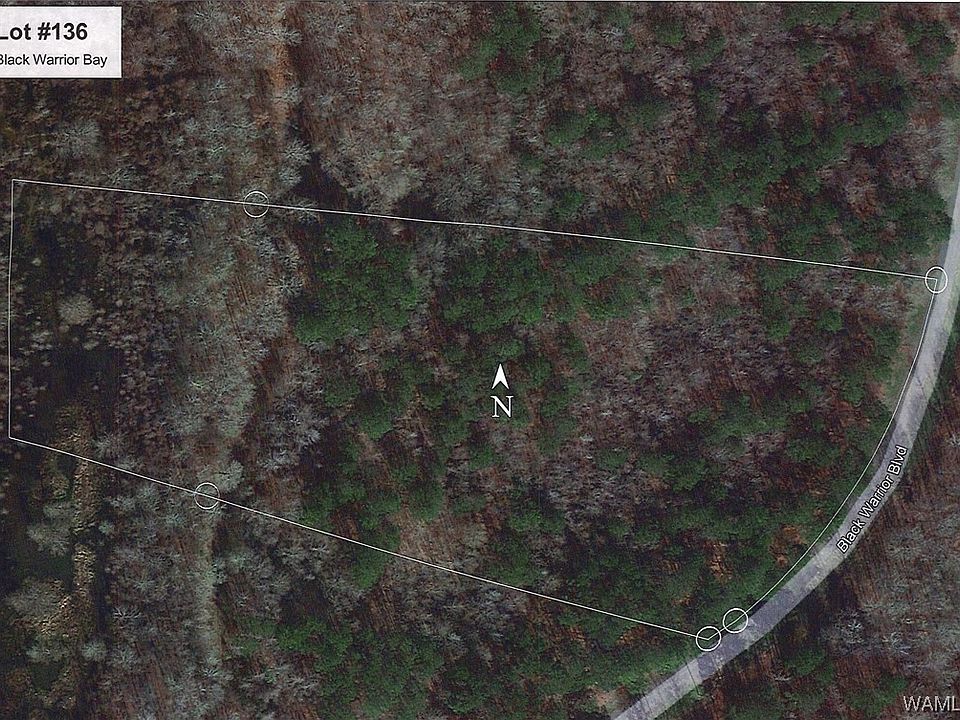 1st image of 131 Black Warrior Blvd