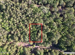 329 CHIPOLA Drive, Georgetown, FL 32139