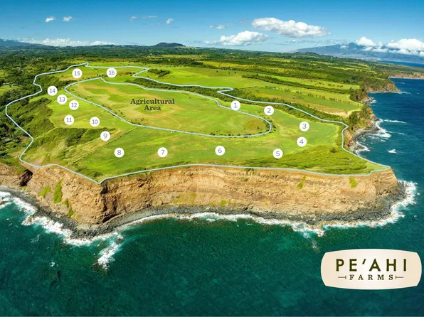 726 Kai Huki Cir #10, Haiku, HI 96708