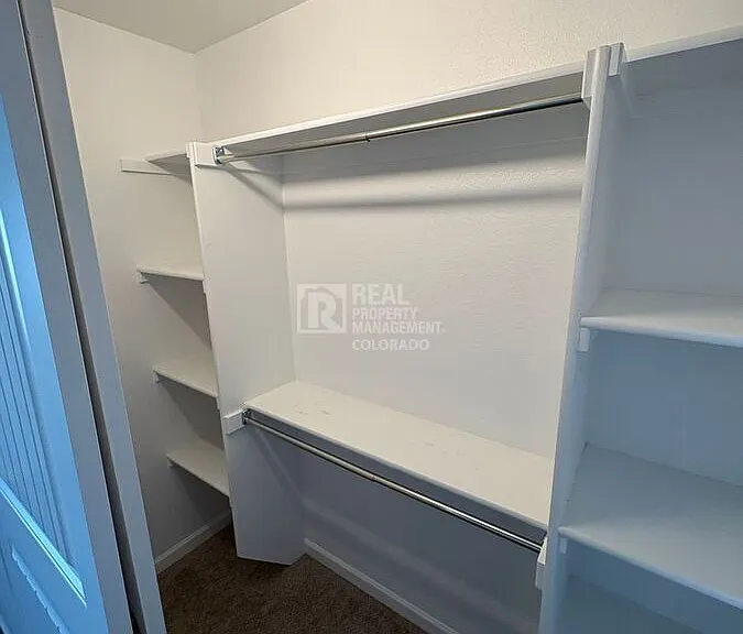4209 Yellowbells Dr — Photo 10