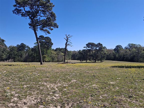 2nd image of 435 Fm 2064 N