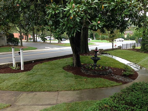 Front Yard