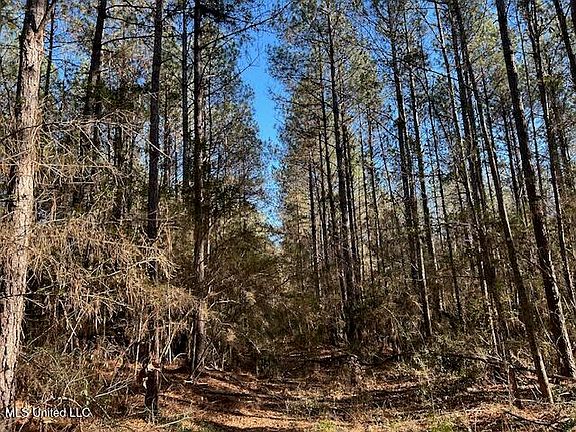 5th image of 1059 Candy Ln