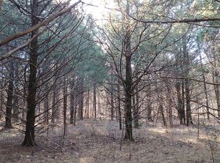 1305 Hardy Rd, Horseshoe Bend, AR 72512