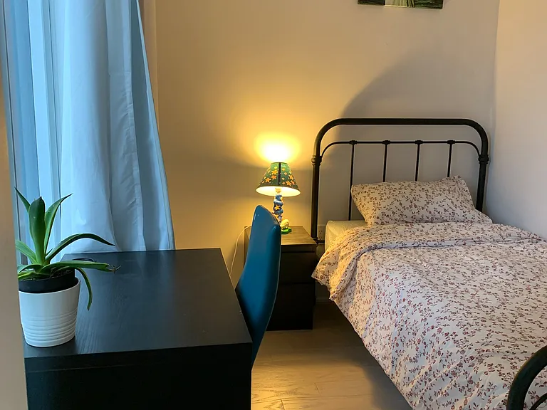 955 Bay St #205 — Photo 6