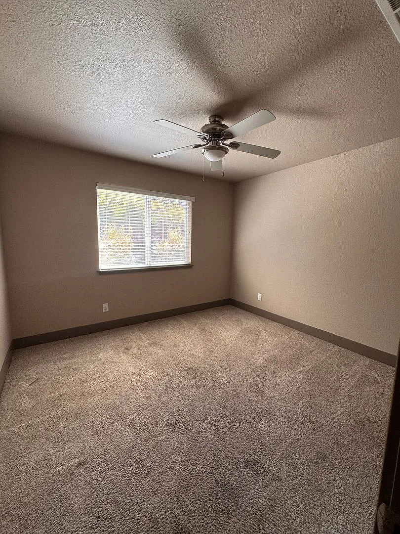 New Single Level Home Walking Distance To Stores. Super Clean — Photo 4