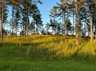 1362 High River Rd LOT 11, Ellijay, GA 30540